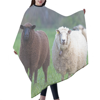 Personality  Black And White Sheep Hair Cutting Cape