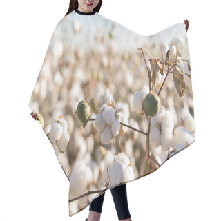 Personality  Cotton Ball In Full Bloom - Agriculture Farm Crop Image Hair Cutting Cape