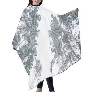 Personality  Bottom View Of Trees Covered With Snow In Forest Hair Cutting Cape