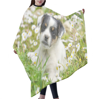 Personality  Chihuahua Puppy Hair Cutting Cape