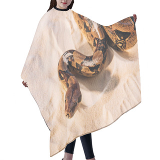 Personality  High Angle View Of Python On Textured Sand Hair Cutting Cape