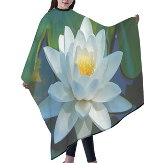 Personality  Water Lily On A Lake Hair Cutting Cape