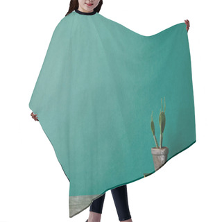 Personality  Cactus Plant On Books On Green Background Hair Cutting Cape