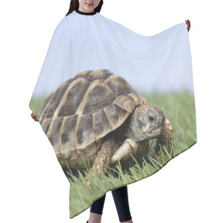 Personality  Turtle On Grass Against A Blue Sky Hair Cutting Cape