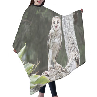 Personality  The Masked Owl Is Perched In A Tree Singing Hair Cutting Cape