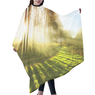 Personality  Sunny Forest Early In The Morning Hair Cutting Cape