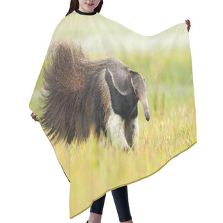 Personality  Anteater, Cute Animal From Brazil Hair Cutting Cape