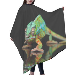 Personality  Alive Chameleon Reptile Hair Cutting Cape