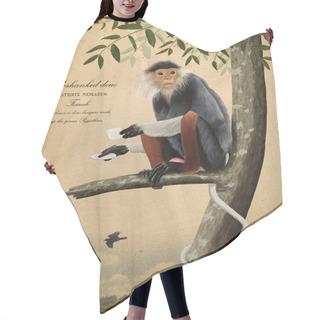 Personality  Monkey Drinking Tea Hair Cutting Cape