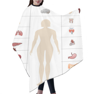 Personality  Icons Of Human Organs Hair Cutting Cape