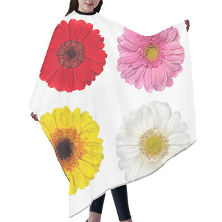 Personality  Four Fresh Gerbera Flowers Isolated On White Hair Cutting Cape