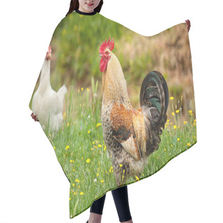 Personality  Hen And Rooster In The Garden Hair Cutting Cape