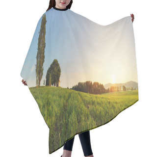 Personality  Sunset Over Green Wheat Field With Path And Chapel Hair Cutting Cape