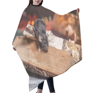 Personality  Brown  Domestic Rat Hair Cutting Cape