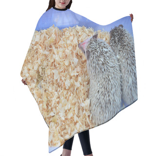 Personality  Small Hedgehog In The Cage Hair Cutting Cape