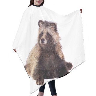 Personality  Raccoon Dog On White Background Hair Cutting Cape