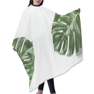 Personality  Top View Of Green Palm Leaves On White Background Hair Cutting Cape