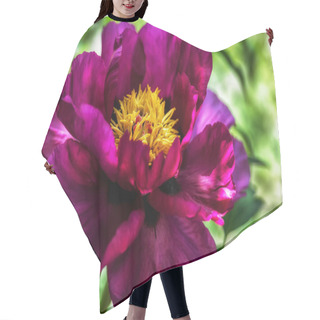 Personality  Peony Flower Heads Hair Cutting Cape