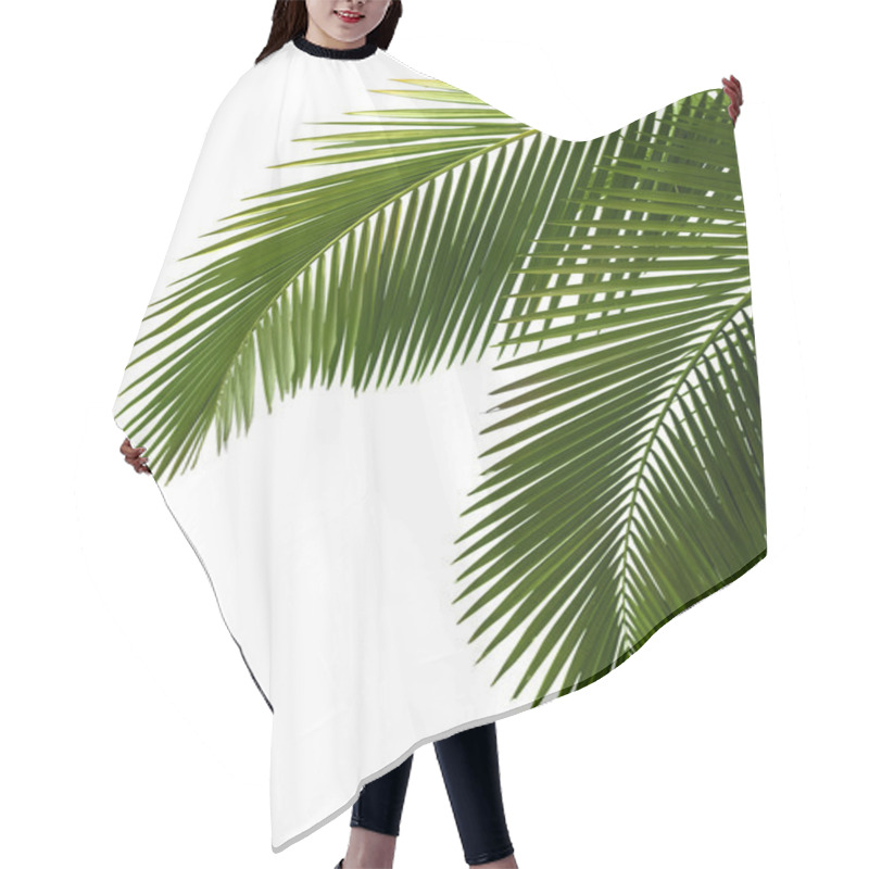 Personality  Leaves Of Palm Tree Hair Cutting Cape