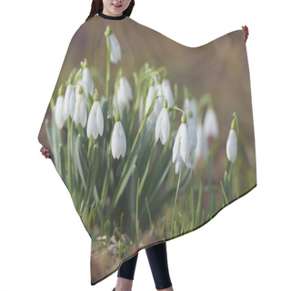 Personality  White Snowdrops On Meadow Hair Cutting Cape