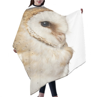 Personality  Close Up Of Barn Owl, Tyto Alba, In Front Of White Background Hair Cutting Cape