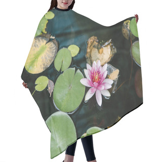 Personality  High Angle View Of Water Lily Growing In Pond Hair Cutting Cape