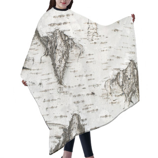 Personality  Birch Bark Tree Close-up, Background Hair Cutting Cape
