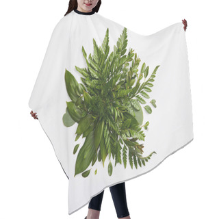 Personality  Composition Of Fresh Green Fern Leaves Isolated On Grey Background Hair Cutting Cape