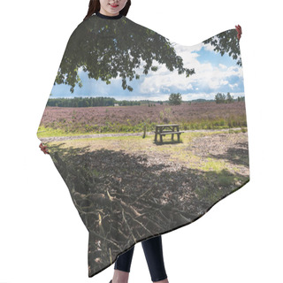 Personality  Picnic Bank With Views Over The Heathlands Hair Cutting Cape