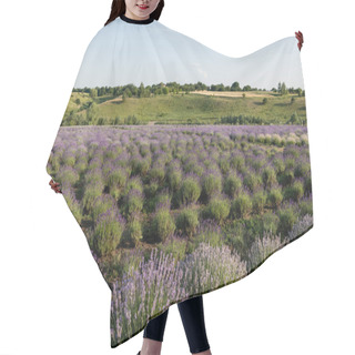 Personality  Lavender Flowers Blooming In Meadow On Summer Day Hair Cutting Cape