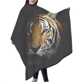 Personality  Tiger  Background Hair Cutting Cape