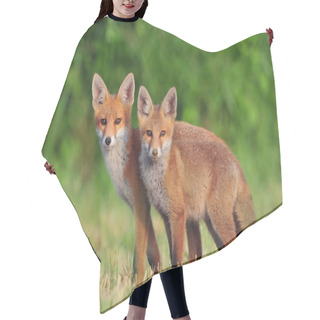 Personality  Two Red Foxes Hair Cutting Cape