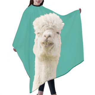 Personality  Funny Alpaca Llama On Blue Background Hair Cutting Cape