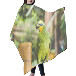Personality  Green Afrotropical Parrot Perching On Bamboo Fence In Tropical Park Hair Cutting Cape