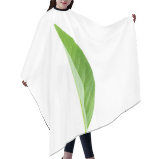 Personality  Green Leaves Isolated On A White Background. Hair Cutting Cape