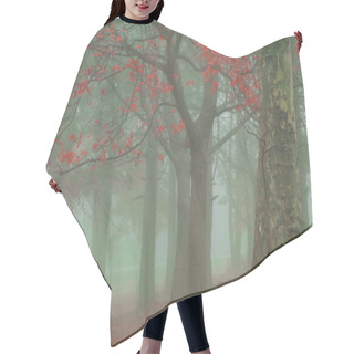 Personality  Misty Autumn Morning Trees Hair Cutting Cape