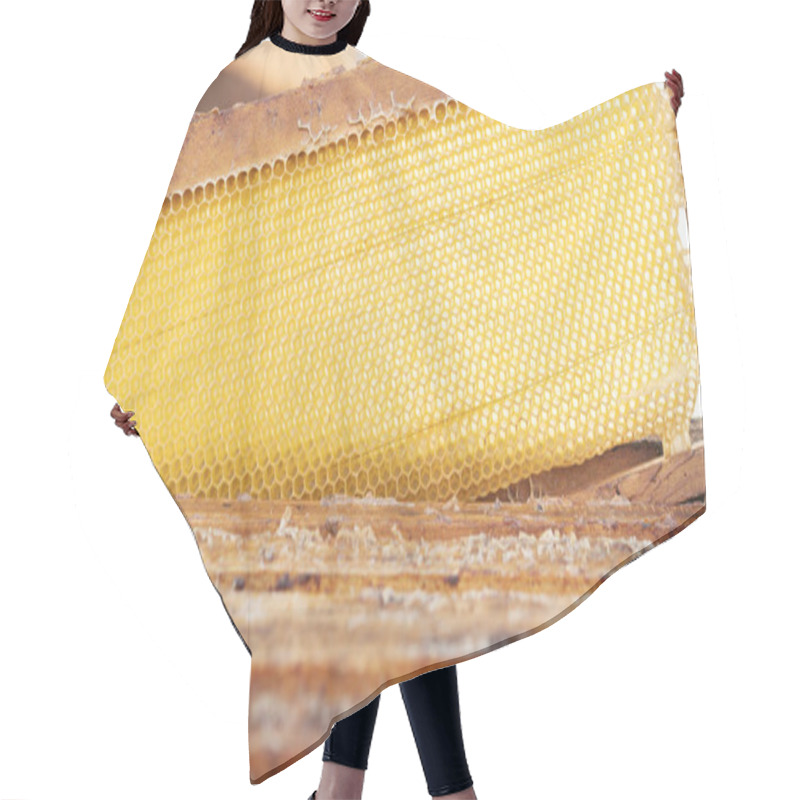 Personality  Frame With Honeycombs Inside Hives For Bees. Healthy Eating. Beekeeping Concept. Selective Focus.  Hair Cutting Cape