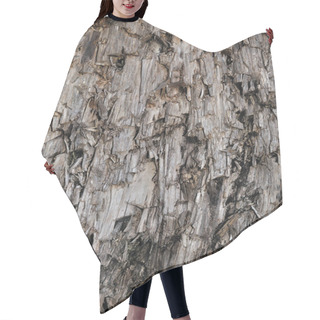 Personality  Natural Weathered Grey Taupe Brown Cut Tree Stump Texture, Large Vertical Detailed Wounded Damaged Vandalized Gray Lumber Background Wood Macro Closeup, Dark Black Textured Cracked Wooden Patter Hair Cutting Cape