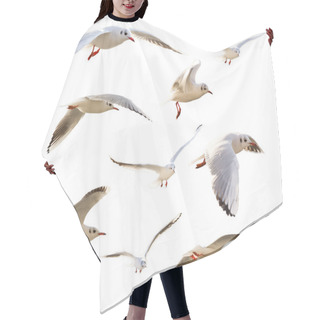 Personality  Seagulls Hair Cutting Cape