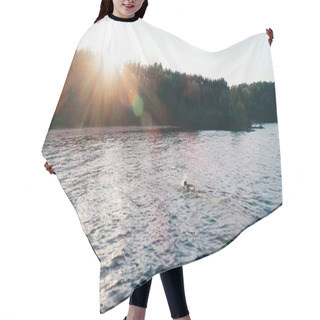 Personality  Scenic View Of River And Forest At Sunset  Hair Cutting Cape