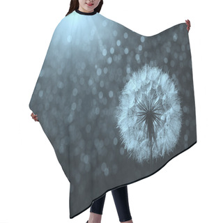 Personality   Dandelion Likes Wind Hair Cutting Cape