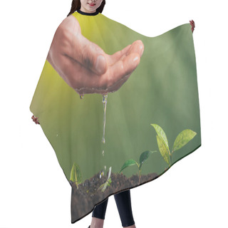 Personality  Partial View Of Man Watering Young Green Plant On Blurred Background, Earth Day Concept Hair Cutting Cape