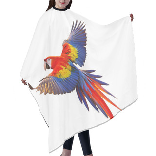 Personality  Colorful Macaw Parrot Flying Isolated On White Hair Cutting Cape