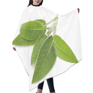 Personality  Sage Leaves Hair Cutting Cape