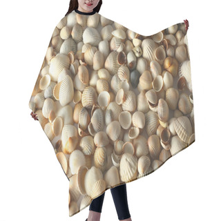 Personality  Shells Hair Cutting Cape