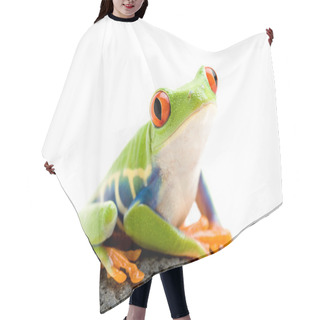 Personality  Frog On A Rock Hair Cutting Cape