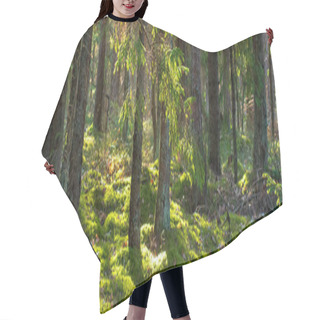 Personality  Forest Nature Background. Summer Green Forest Hair Cutting Cape