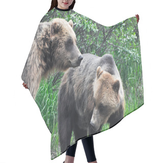 Personality  Grizzly Bears, Alaska Hair Cutting Cape