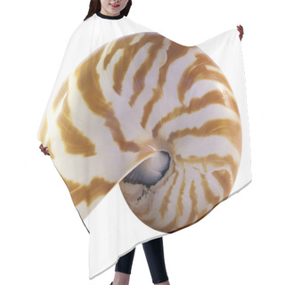 Personality  Isolated Nautilus Shell Hair Cutting Cape