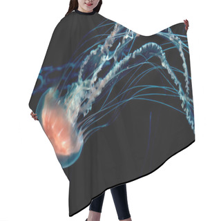 Personality  Pulsating Jelly Fish  In Dark Water Hair Cutting Cape